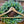 Engraved Natural Wood Wedding Hanger – Custom Bridal Party Titles