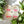Floral 3D Baby Milestone & Announcement Disc Set
